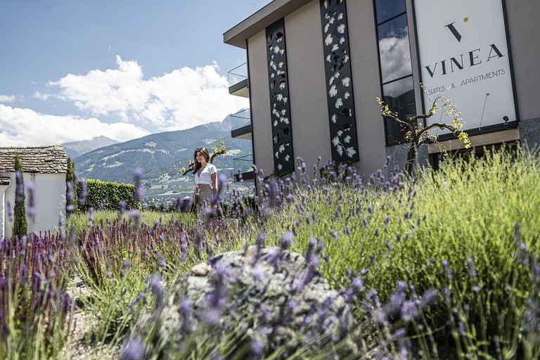 4 Sterne VINEA - Suites & Apartments 39019 Dorf Tirol bei Meran in Südtirol
