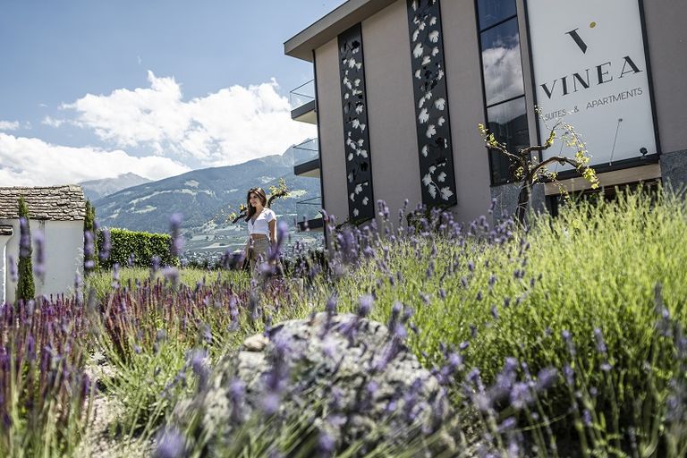  VINEA - Suites & Apartments 39019 Dorf Tirol bei Meran in Südtirol
