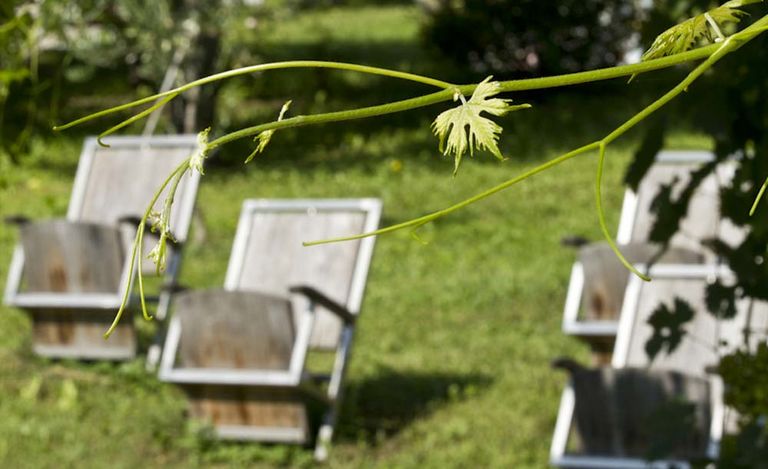  Hotel Maratscher 39022 Algund bei Meran - Meranerland in Südtirol
