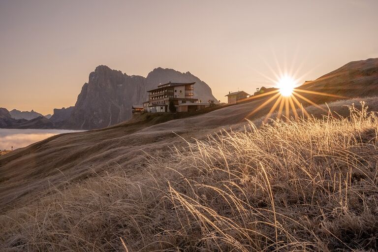  Goldknopf alpine lifestyle Hotel 39040 Seiser Alm - Dolomiten in Südtirol
