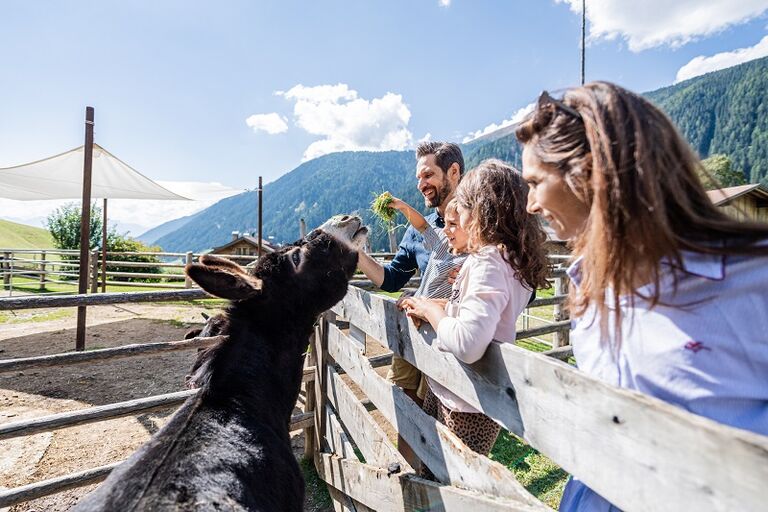  Fameli 39030 Olang in Südtirol
