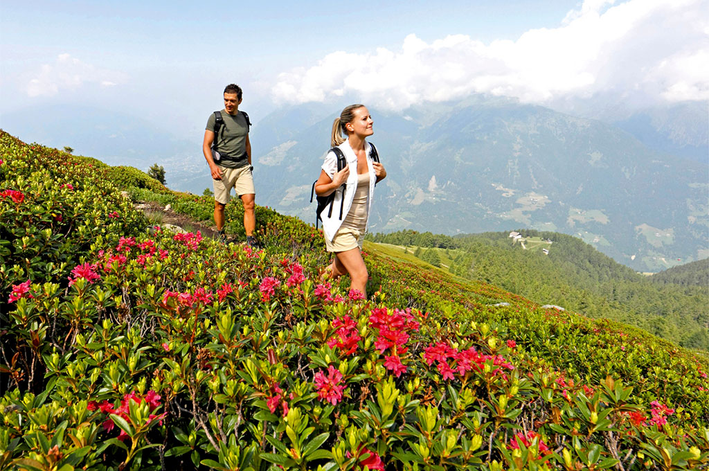  Baumgartner's Blumenhotel 39017 Schenna - Meran - Meranerland in Südtirol
