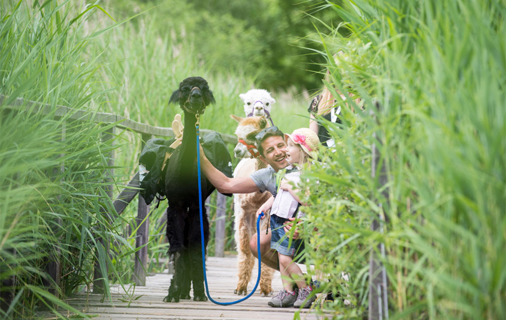  Gartenhotel Moser 39057 Eppan - Montigglersee in Südtirol
