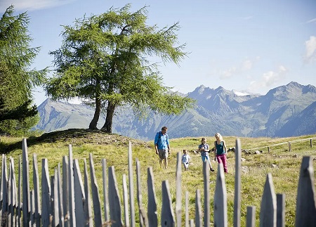 Sommer in den Bergen